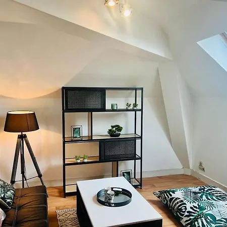 Apartment Le Petit Cocon Urbain - T2 En Hypercentre Poitiers